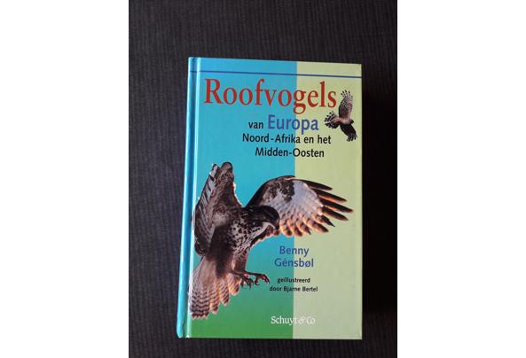 Roofvogels van Europa - 20210524_141829