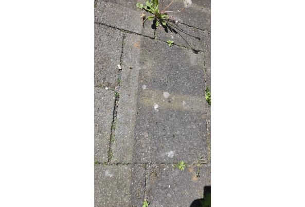 54 m^2 Antraciet/grijze terras/tuintegels (wildverband) - 20260428_153400