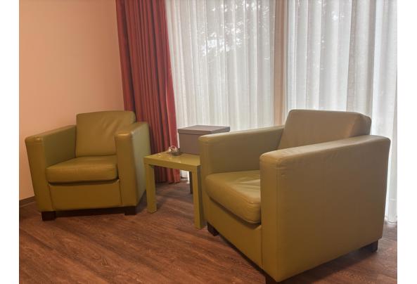 Groene fauteuils - IMG_6545
