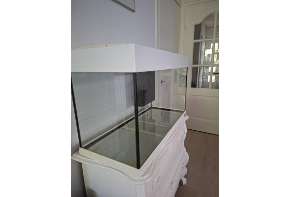 Aquarium compleet - gmail_images20260622_102516