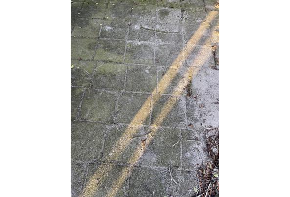 Stoeptegels - stoeptegels-Willem-2