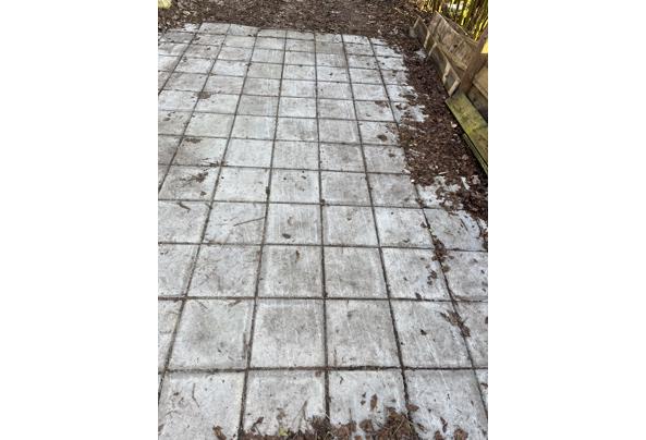 Stoeptegels - stoeptegels-Willem