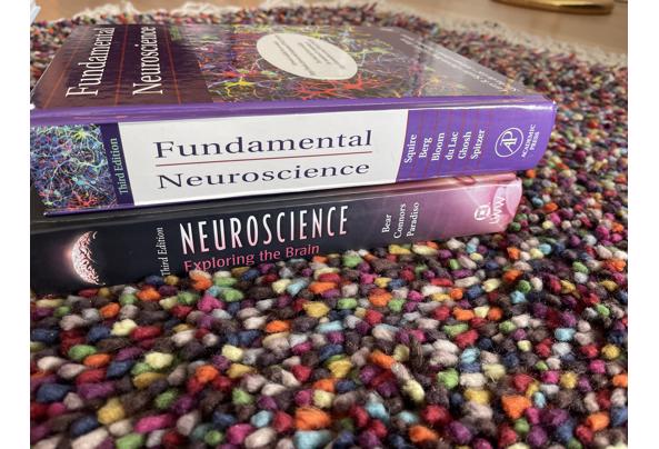 Boeken neurowetenschappen - image