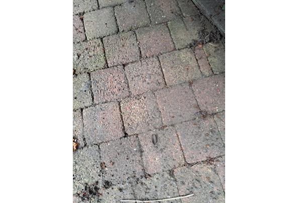 Klinkers 10x10x8 - 20260418_113941