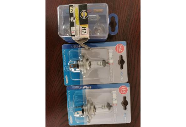 Auto (kop)lampen - IMG_20251031_105137