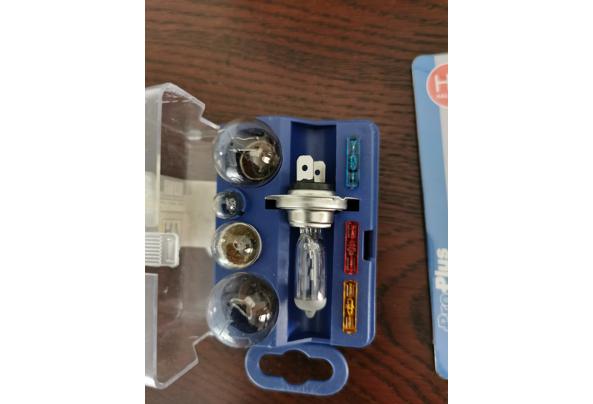 Auto (kop)lampen - IMG_20251031_105201