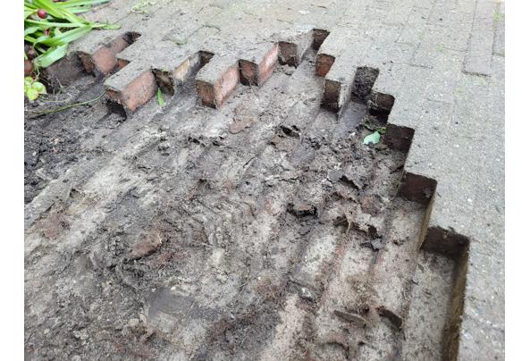 Gratis tegels voor in de tuin +/- 10m2 - 20230513_112406