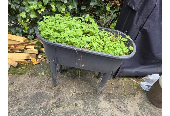 Planten kweekbak op poten incl deksel - 20261022_135925