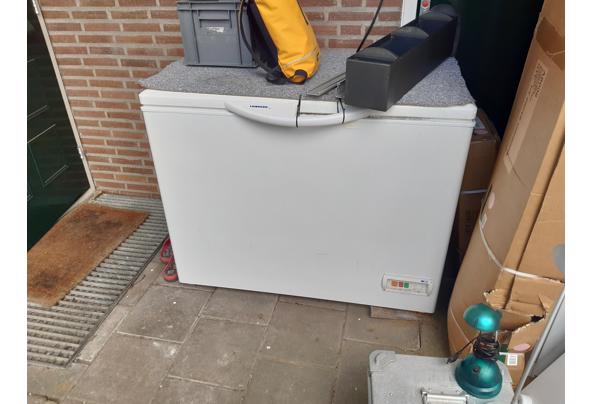 Diepvrieskist 300 liter - 20250206_133033