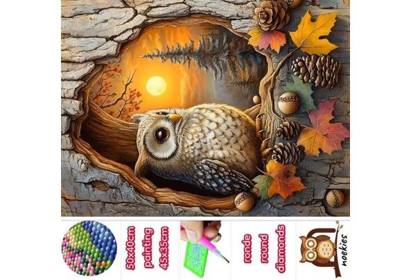 50x40cm Diamond Painting herst Uil (rond) nr 83 - 2029-(6)_639175089356304984
