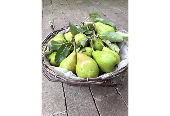 Gratis peren plukken! - IMG_7479