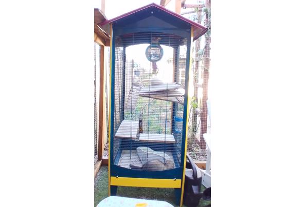 Grote vintage kooi voor vogels of fretten - 20260318_150541