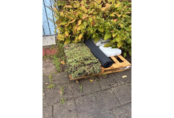 Nog stuk sedum dak over, - 29ad7d70-1e99-4f19-a9d0-85e284992044