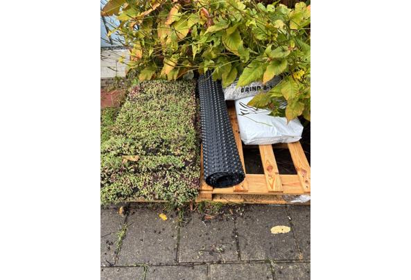 Nog stuk sedum dak over, - 634b11e1-f1cb-43c4-96dc-e177dcd99acd
