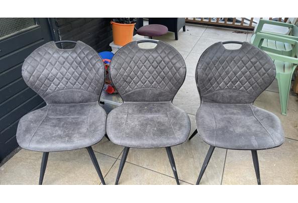 Dining chairs cushioned - Dining_chairs_1