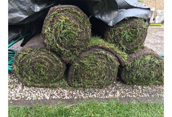 Graszoden 4,5 stuks gratis af te halen - gras_637553953140499979