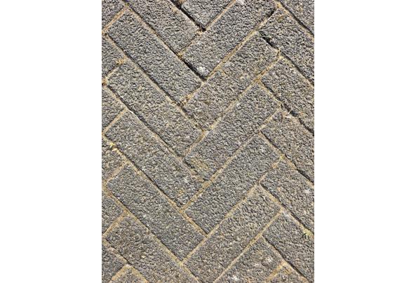 Gratis af te halen: 30m2 gebruikte betonnen klinkers - 20260730_183141