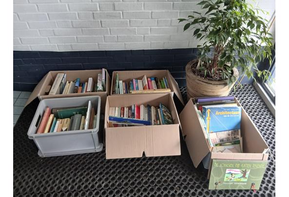 5 dozen met boeken - boeken