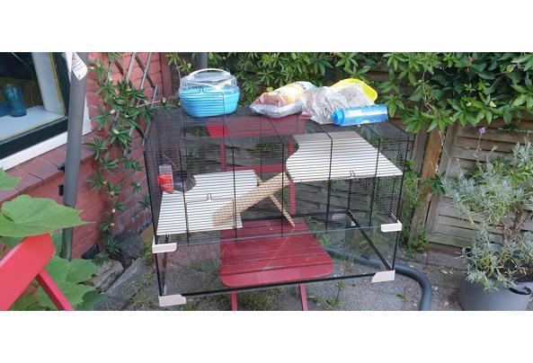 Terrarium voor hamster - (Upload-from-mobile-1754826015)20250809_175517
