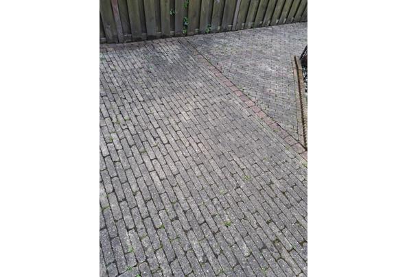 Gratis afhalen en zelf uit tuin verwijderen. - IMG-20240523-WA0004