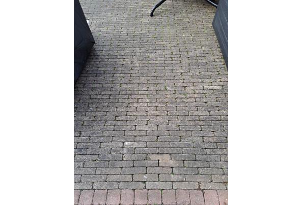 Gratis afhalen en zelf uit tuin verwijderen. - IMG-20240523-WA0005