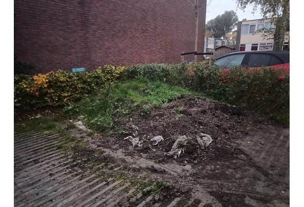 Ca 6 m3 afgegraven tuingrond gratis af te halen - IMG_20261029_071026892 Ca 6 m3 afgegraven tuingrond gratis af te halen - IMG_20261029_071026892