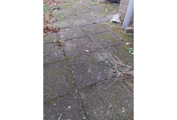 Oude Tegels - 20251231_160332