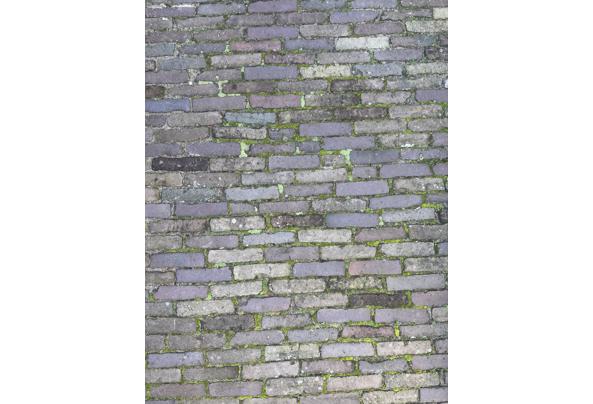 Mooie klinkers - IMG_5365