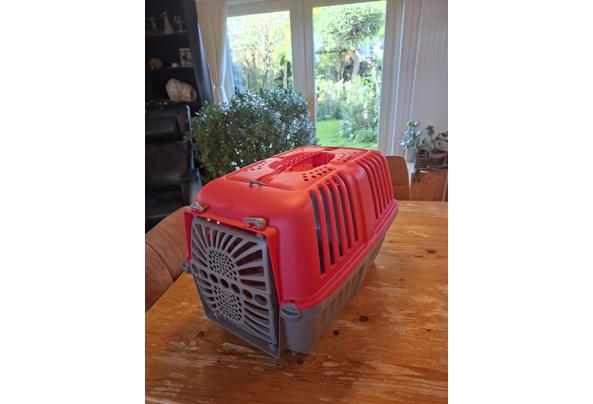 Katten vevoer - 20261008_111839