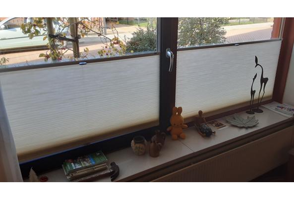 zonwering plissé - 20251104_122834 zonwering plissé - 20251104_122834