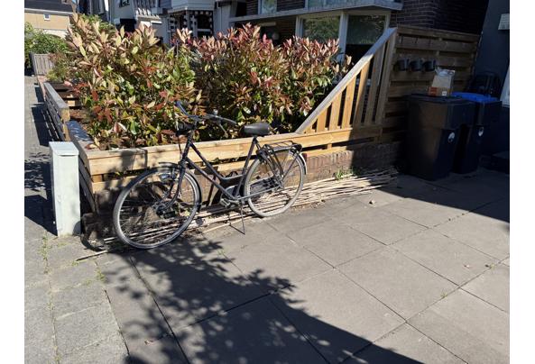 Fiets die liefde nodig heeft  - IMG_4993