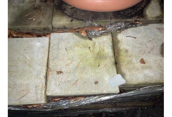 Tegel 30x30 - IMG_1311