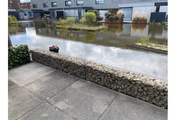 Gratis af te halen ongeveer 300 kilo maaskeien in zak - IMG_5999