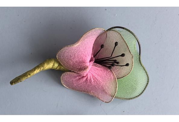 Broche kunststof papegaai , olifant , broches vogel dier  - IMG_5416_638976829409188376