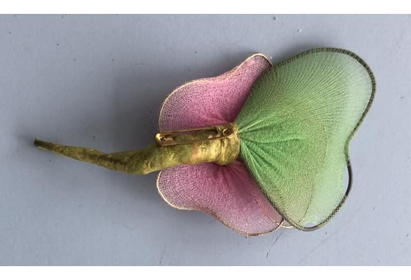 Broche kunststof papegaai , olifant , broches vogel dier  - IMG_5417_638976829420326364