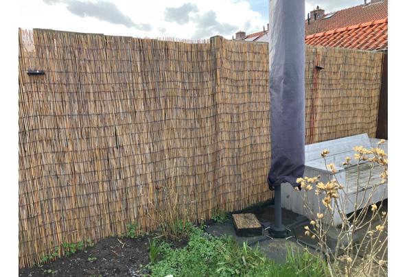 Riet haag voor tuin - riethaag-3