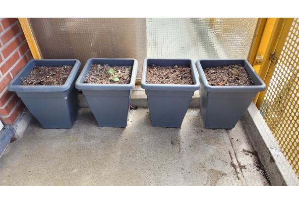 Plastic plantenbakken - 20260404_113104_resized