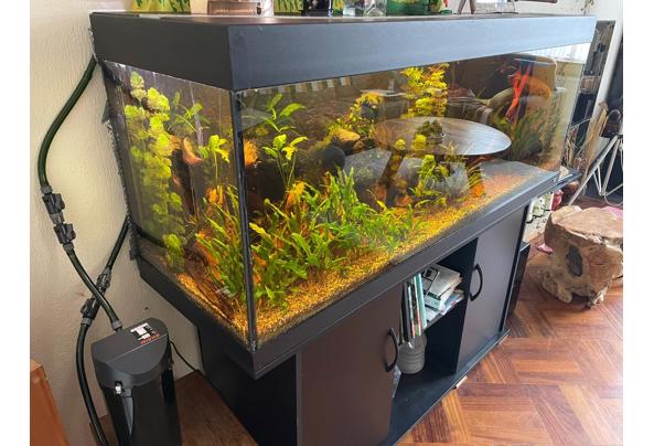 Aquarium juwel rio 400 - 2aeb29f8-ddf9-4d15-8b89-420302eb13ae