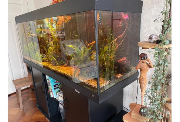 Aquarium juwel rio 400 - 6abf2e0a-dbfc-428e-ae5d-5c28cc159541