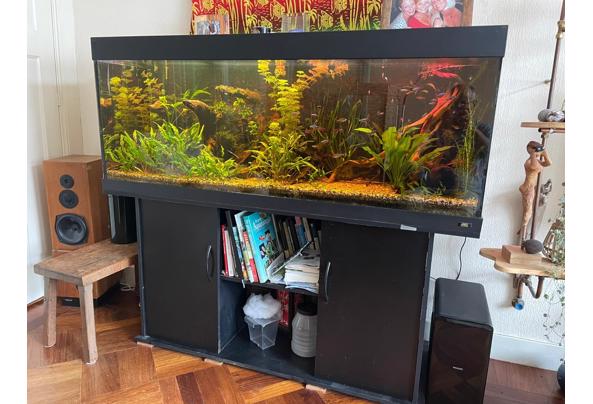Aquarium juwel rio 400 - 783fab85-2f62-4dd0-a2d0-bacbcc5ea9a4