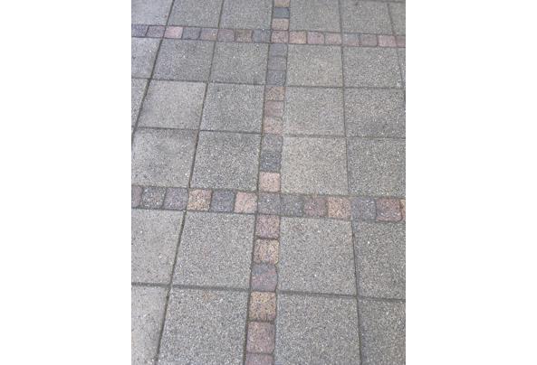 Gratis afhalen, zelf uit de tuin halen. - 17875863692856332007231211353142