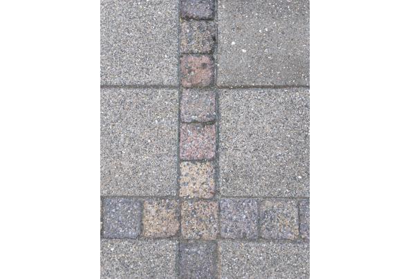 Gratis afhalen, zelf uit de tuin halen. - 17875864309228666396006289515101