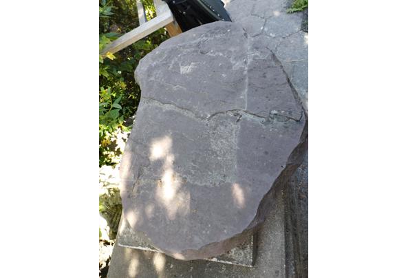 Voor bestrating en sierbestrating - flagstones40x60