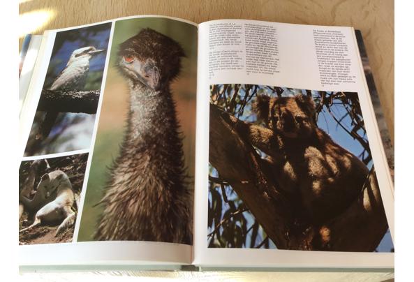 Australië ;Prachtig boek ,mooi & uitnemend natuur,op reisTOP - IMG_11093_637504609433258740