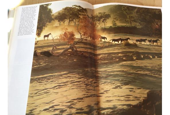 Australië ;Prachtig boek ,mooi & uitnemend natuur,op reisTOP - IMG_11117_637504609579274760