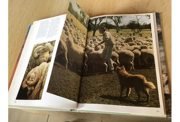 Australië ;Prachtig boek ,mooi & uitnemend natuur,op reisTOP - IMG_112711_637504610401718563