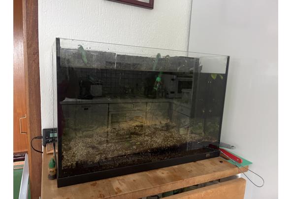 Leeg Aquarium - IMG_2698