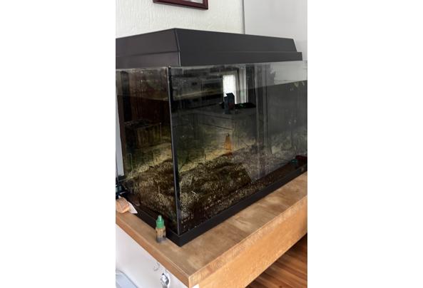 Leeg Aquarium - IMG_2706