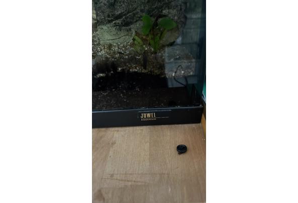 Leeg Aquarium - IMG_2707