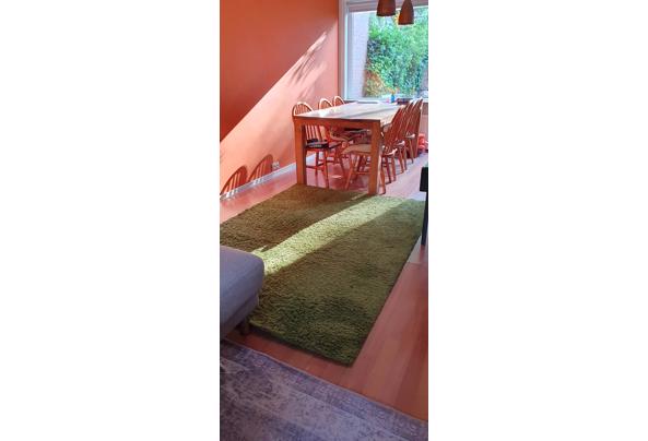Tapijt Groen - 20250503_085658